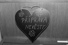 IMG_8469-liceni-srdce